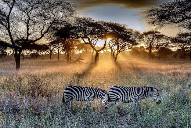 Mount Kenya
